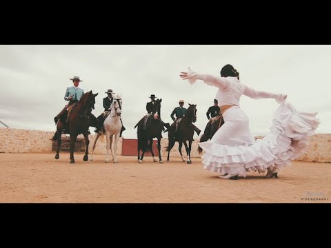 Espectacular flamenca baila con su elegante caballo